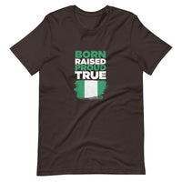 Nigerian Tshirt , Unisex African tshirt, Naija T-shirt, Unisex t-shirt