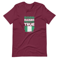 Nigerian Tshirt , Unisex African tshirt, Naija T-shirt, Unisex t-shirt