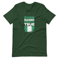 Nigerian Tshirt , Unisex African tshirt, Naija T-shirt, Unisex t-shirt