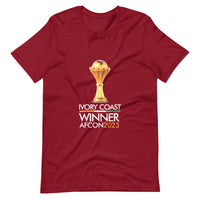 AFCON 2023 Memorabilia, Ivory Coast 2023, AFCON Tshirt, Afcon Hoodie, Cote DiVoire, Africa Tshirts