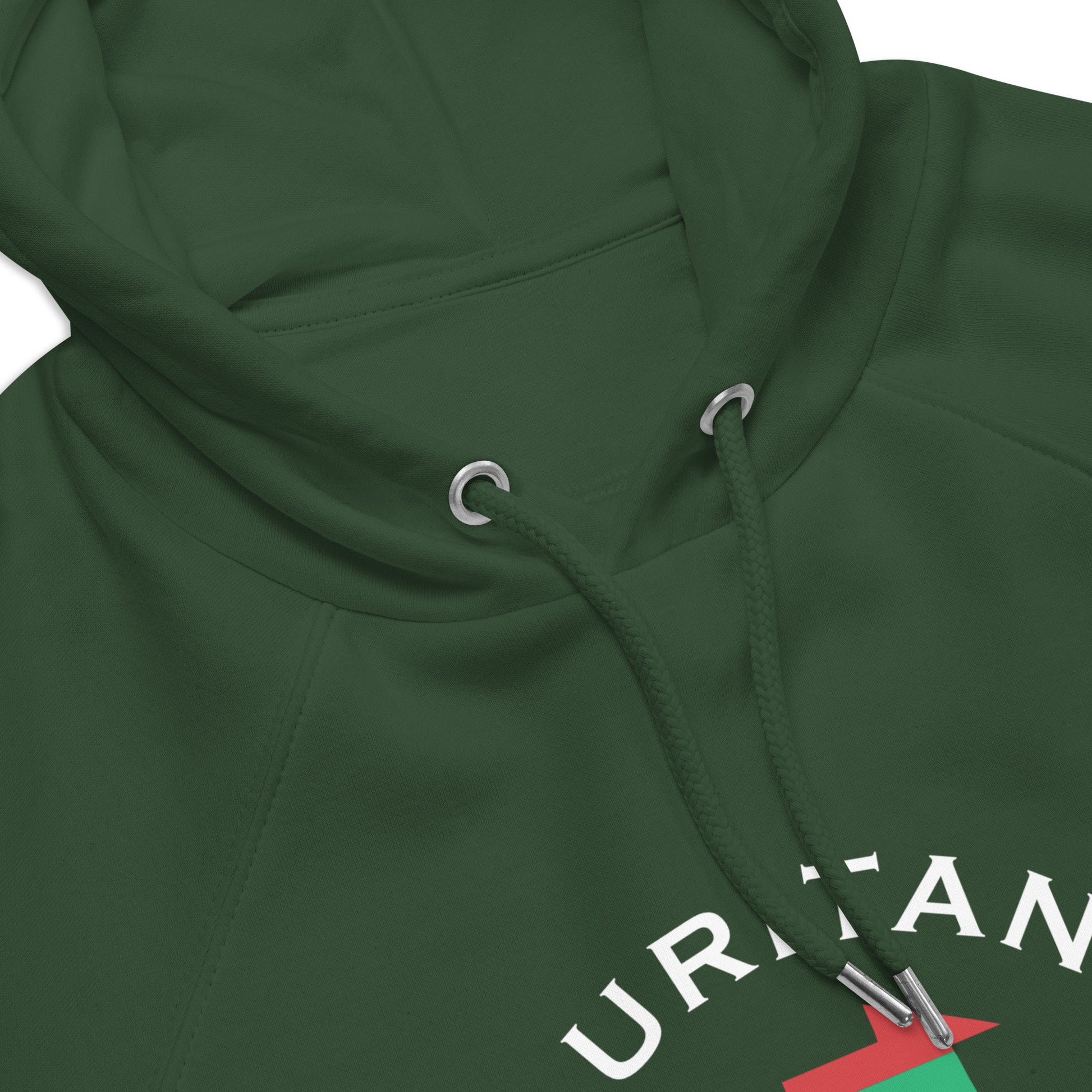 Mauritanian Unisex eco raglan hoodie