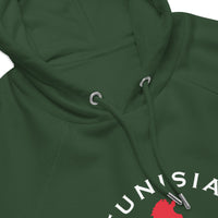 Tunisian Unisex eco raglan hoodie