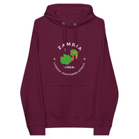 Zambian Unisex eco raglan hoodie