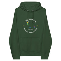 Comoros Unisex eco raglan hoodie