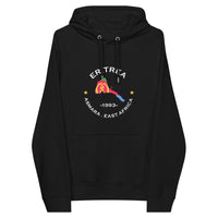 Eritrean Unisex eco raglan hoodie