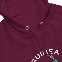 Guinean Unisex eco raglan hoodie