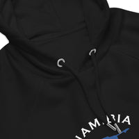 Namibian Unisex eco raglan hoodie