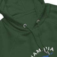 Namibian Unisex eco raglan hoodie