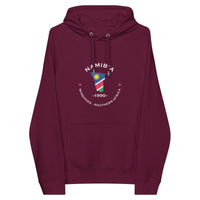 Namibian Unisex eco raglan hoodie